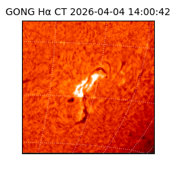 gong - 2026-04-04T14:00:42