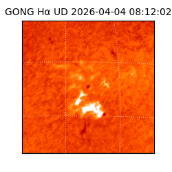 gong - 2026-04-04T08:12:02