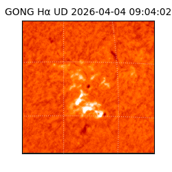 gong - 2026-04-04T09:04:02