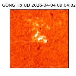 gong - 2026-04-04T09:04:02