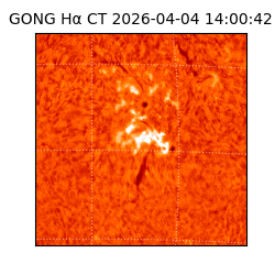 gong - 2026-04-04T14:00:42