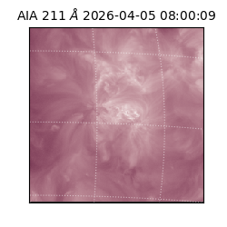 saia - 2026-04-05T08:00:09.631000