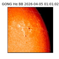 gong - 2026-04-05T01:01:02