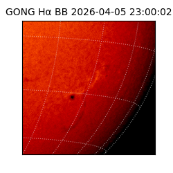 gong - 2026-04-05T23:00:02
