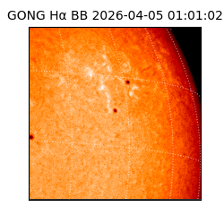 gong - 2026-04-05T01:01:02