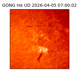 gong - 2026-04-05T07:00:02