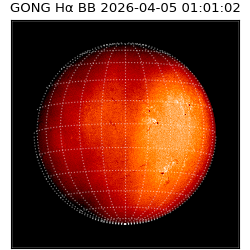 gong - 2026-04-05T01:01:02