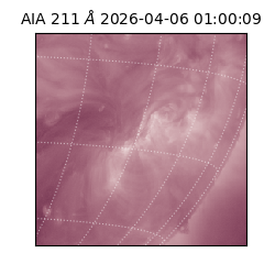 saia - 2026-04-06T01:00:09.623000