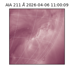 saia - 2026-04-06T11:00:09.621000