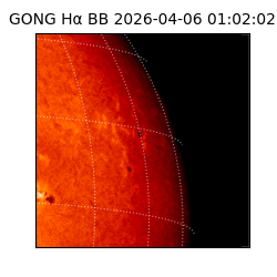gong - 2026-04-06T01:02:02