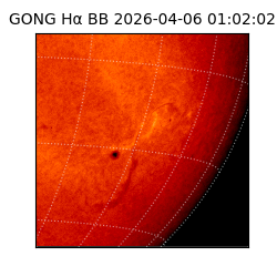gong - 2026-04-06T01:02:02