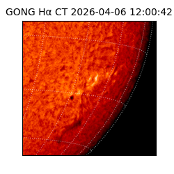 gong - 2026-04-06T12:00:42