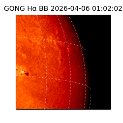 gong - 2026-04-06T01:02:02
