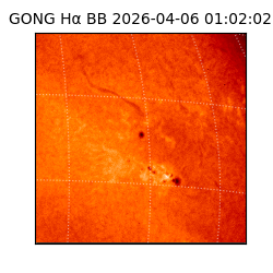 gong - 2026-04-06T01:02:02
