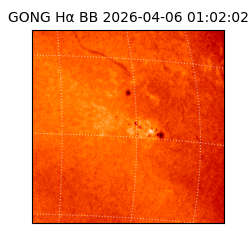 gong - 2026-04-06T01:02:02