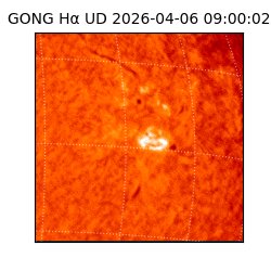 gong - 2026-04-06T09:00:02