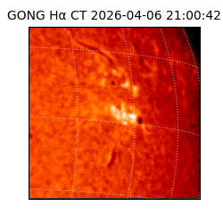 gong - 2026-04-06T21:00:42