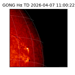 gong - 2026-04-07T11:00:22