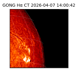 gong - 2026-04-07T14:00:42