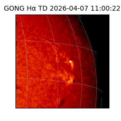 gong - 2026-04-07T11:00:22
