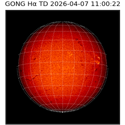 gong - 2026-04-07T11:00:22