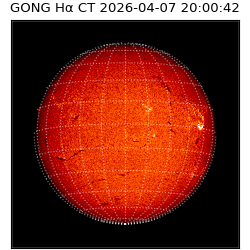 gong - 2026-04-07T20:00:42