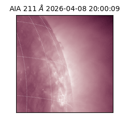 saia - 2026-04-08T20:00:09.624000