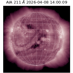 saia - 2026-04-08T14:00:09.623000