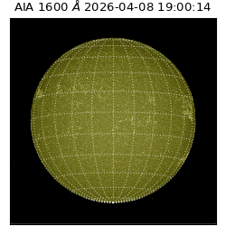 saia - 2026-04-08T19:00:14.123000