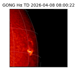 gong - 2026-04-08T08:00:22