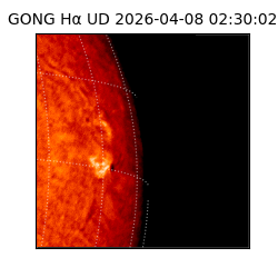 gong - 2026-04-08T02:30:02