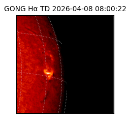 gong - 2026-04-08T08:00:22