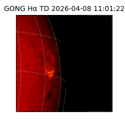 gong - 2026-04-08T11:01:22