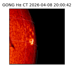 gong - 2026-04-08T20:00:42