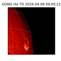 gong - 2026-04-08T09:00:22