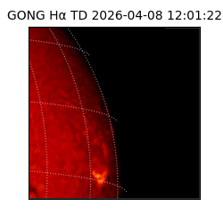gong - 2026-04-08T12:01:22