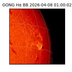 gong - 2026-04-08T01:00:02