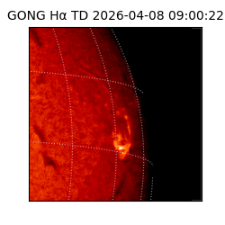 gong - 2026-04-08T09:00:22