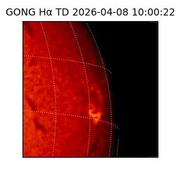 gong - 2026-04-08T10:00:22