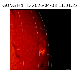 gong - 2026-04-08T11:01:22