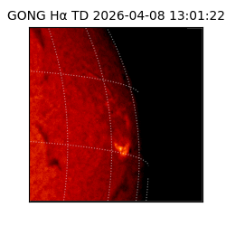 gong - 2026-04-08T13:01:22