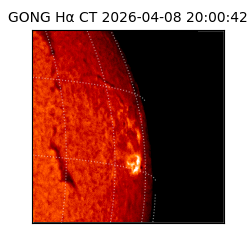 gong - 2026-04-08T20:00:42