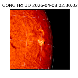 gong - 2026-04-08T02:30:02
