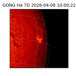 gong - 2026-04-08T10:00:22