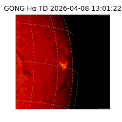 gong - 2026-04-08T13:01:22