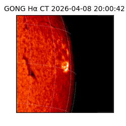 gong - 2026-04-08T20:00:42