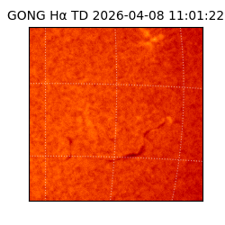 gong - 2026-04-08T11:01:22