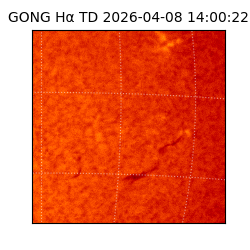 gong - 2026-04-08T14:00:22