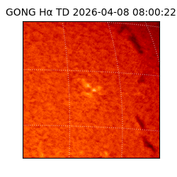 gong - 2026-04-08T08:00:22