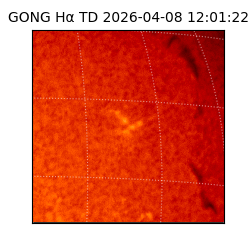 gong - 2026-04-08T12:01:22